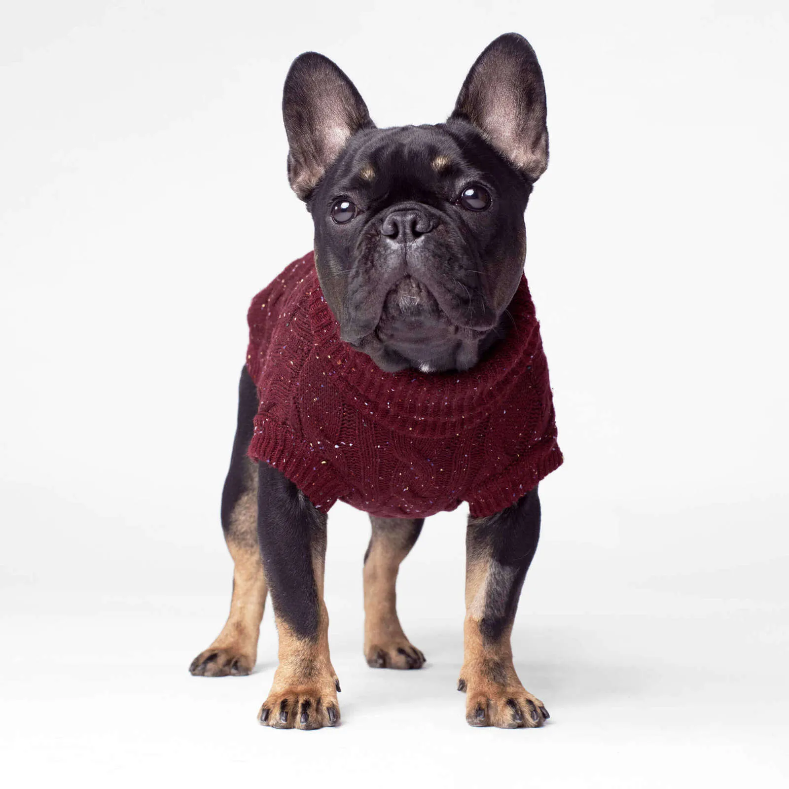 Cambridge Cableknit Maroon Sweater 18"
